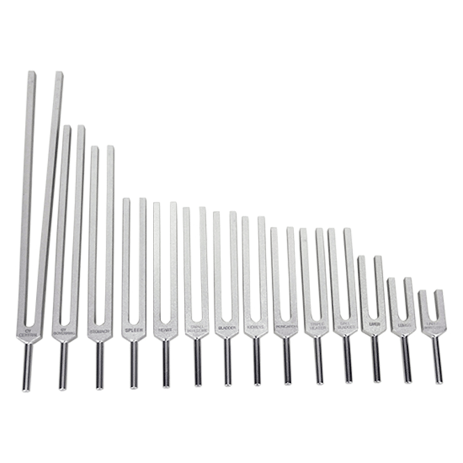 Meridian Tuning Forks - Set of 14 - Tools for Wellness