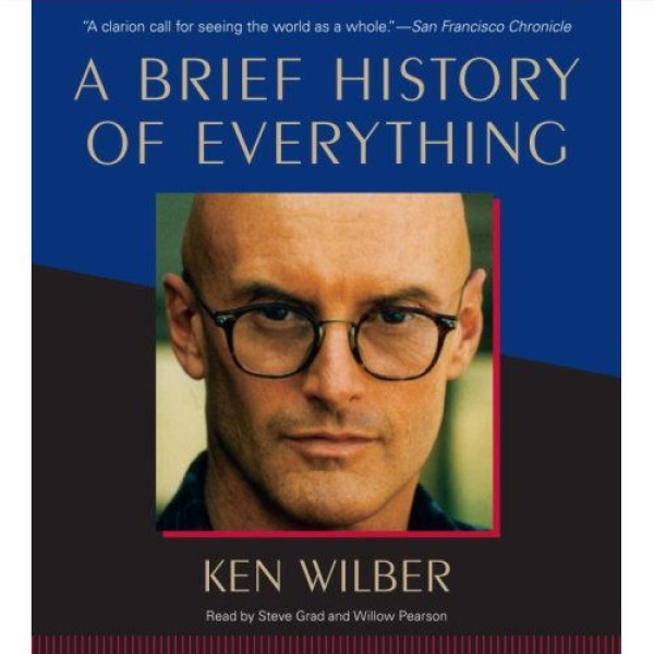 brief history of everything audiobook