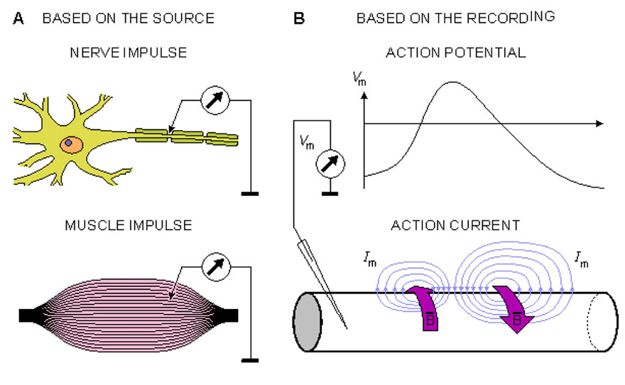 ctca-slide-7